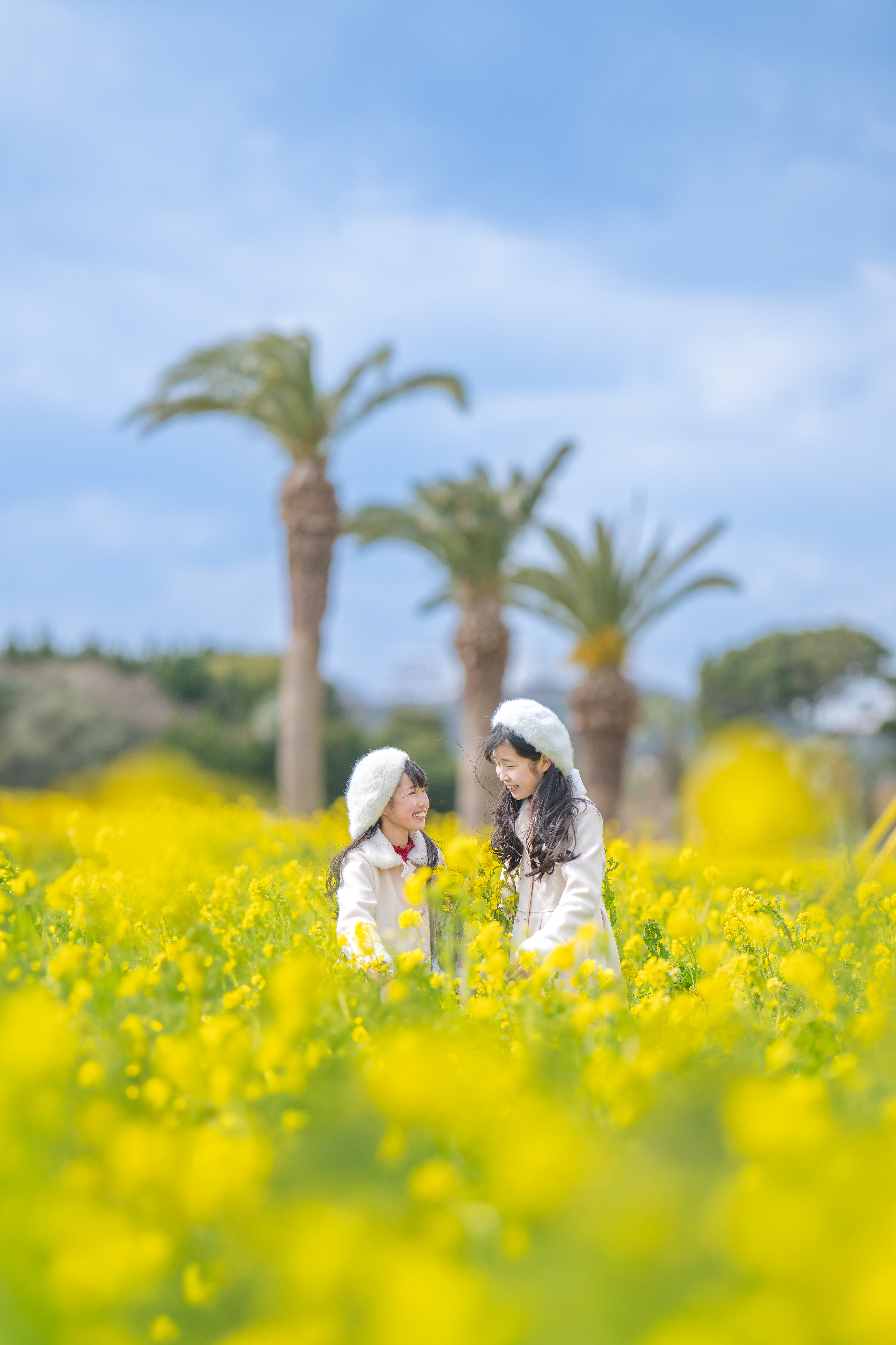 佳作 【春の姉妹旅】