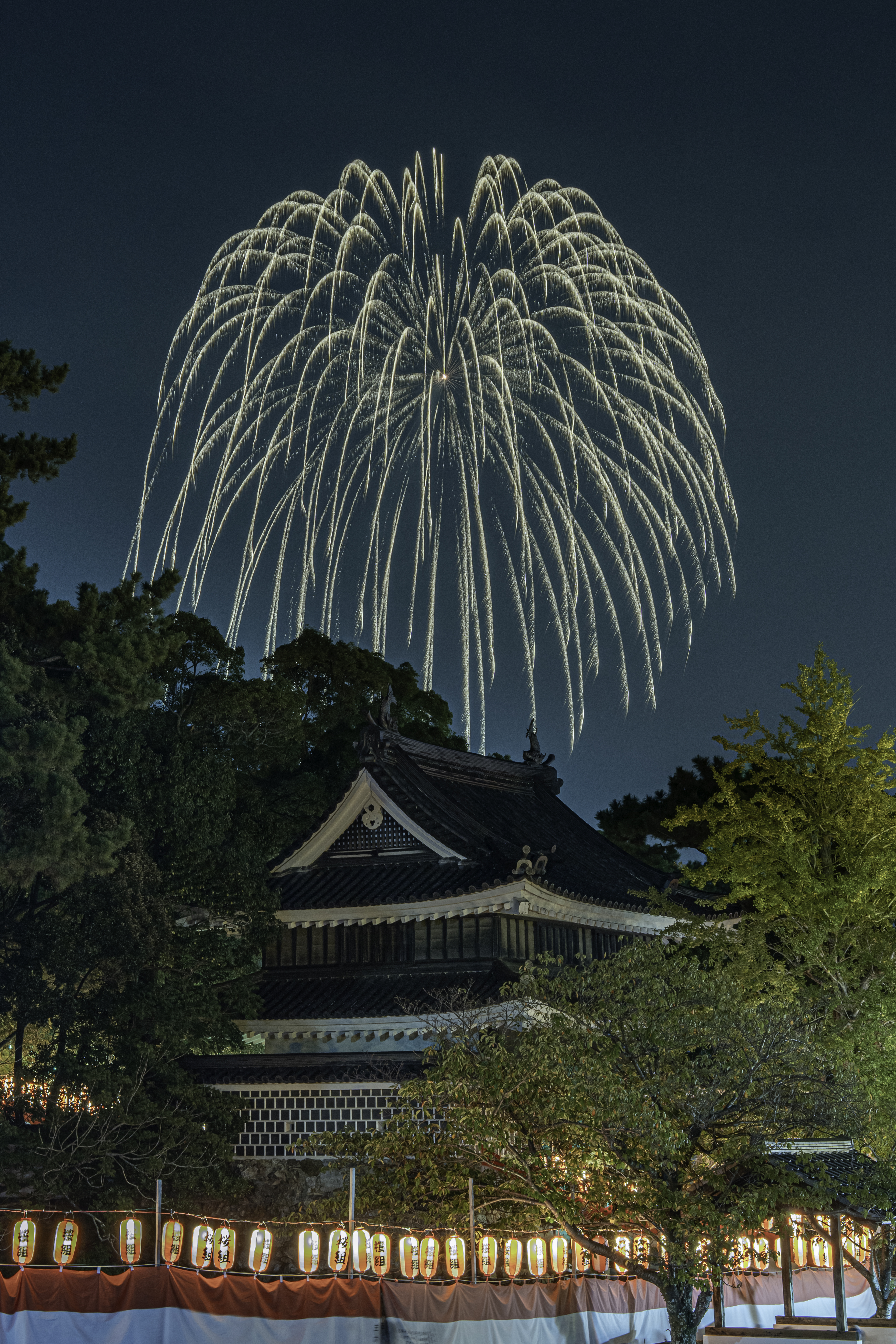 田原区長賞 【祭りの最後はコレ！】