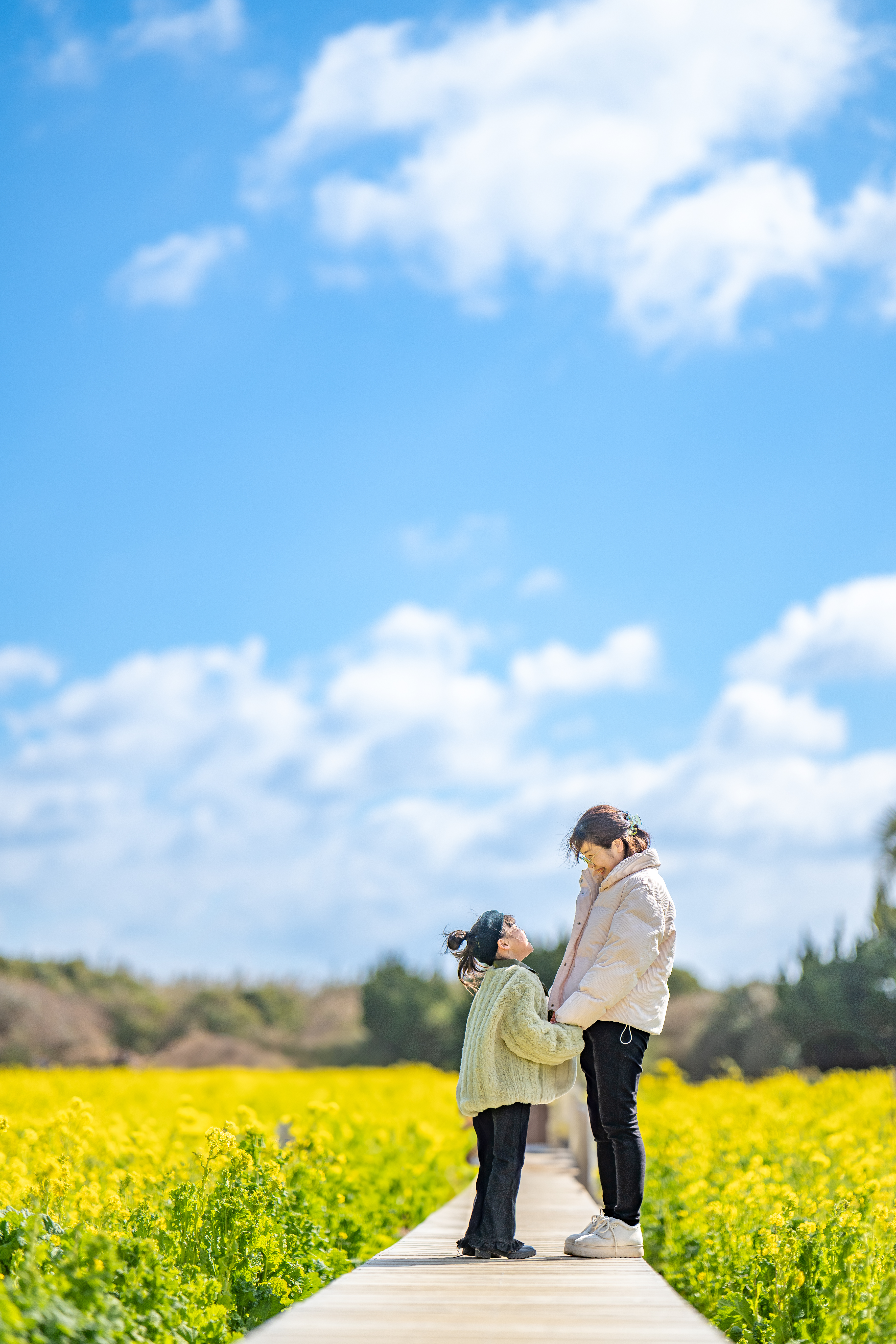 東三河写真倶楽部会長賞 【菜の花ランウェイ】