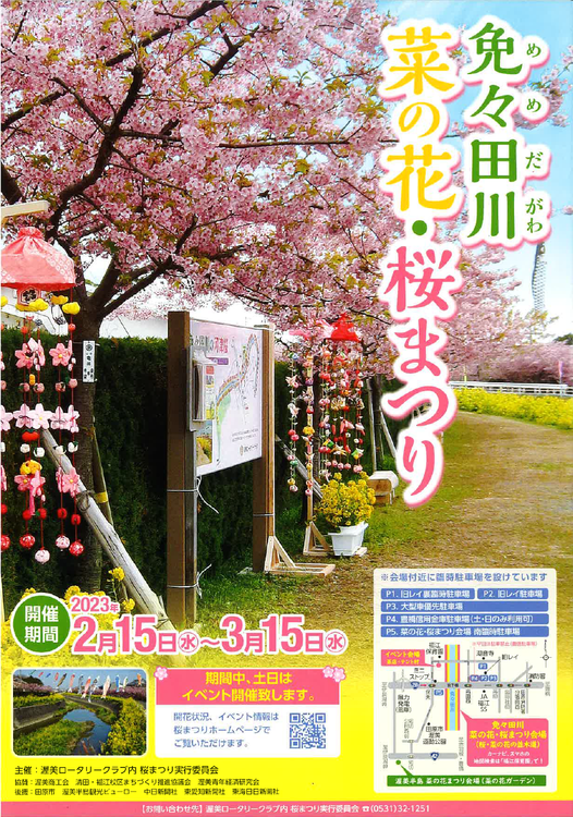 免々田川　菜の花・桜まつり